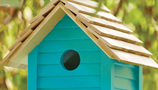 Nest Boxes (2)